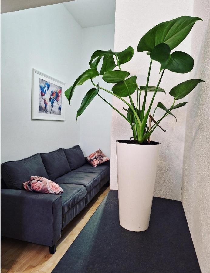 Apartment Ory 2 Between The Beach And City Center プーラ エクステリア 写真